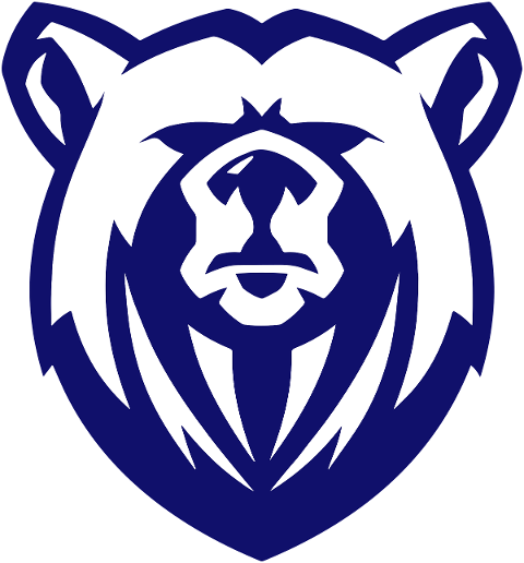 bear-head-logo-wildlife-animal-6577848