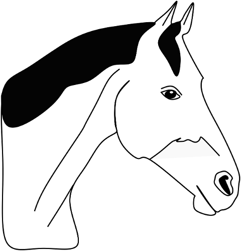 horse-line-art-animal-drawing-7286594
