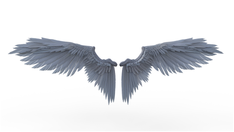 wings-fly-isolated-transparent-4832545