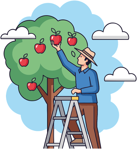 apple-harvest-apple-apple-tree-9819387