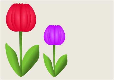 flowers-tulips-design-mother-s-day-7177357