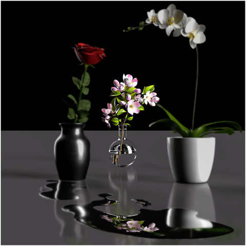 flowers-water-bloom-orchid-flora-4955205