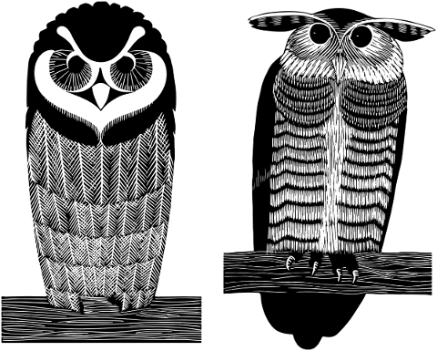 owl-birds-silhouette-animal-4763843