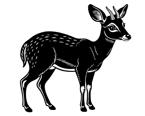deer-buck-animal-wildlife-mammal-9428774