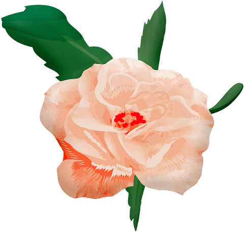 watercolor-rose-roses-pink-stem-4409232