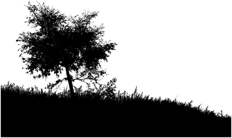 tree-landscape-silhouette-plant-4906053
