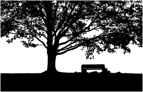 trees-bench-forest-silhouette-lake-5759731