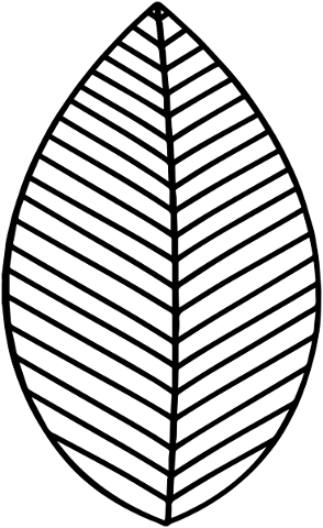 leaf-drawing-zentangle-floral-4881175