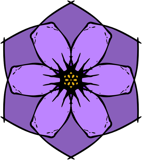 flower-blossom-spring-bloom-nature-9197687
