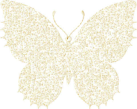 butterfly-insect-animal-low-poly-9652859