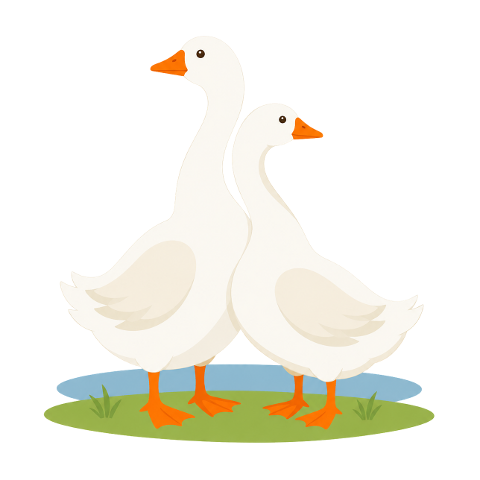 geese-grass-water-calm-countryside-10315523