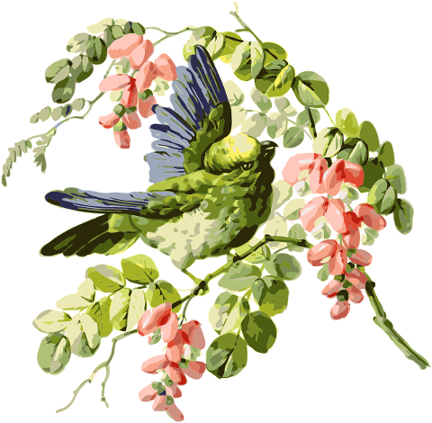 bird-parrot-wisteria-flowers-6801525