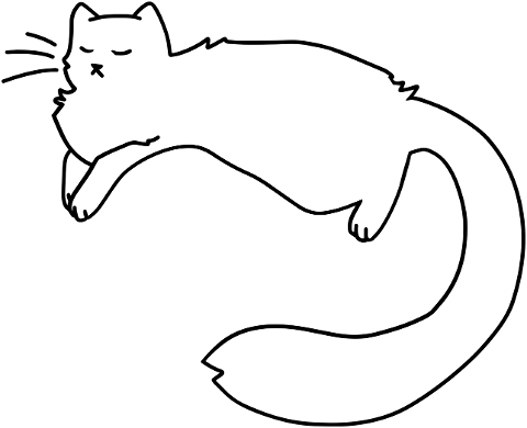 cat-pet-line-art-animal-feline-6158706