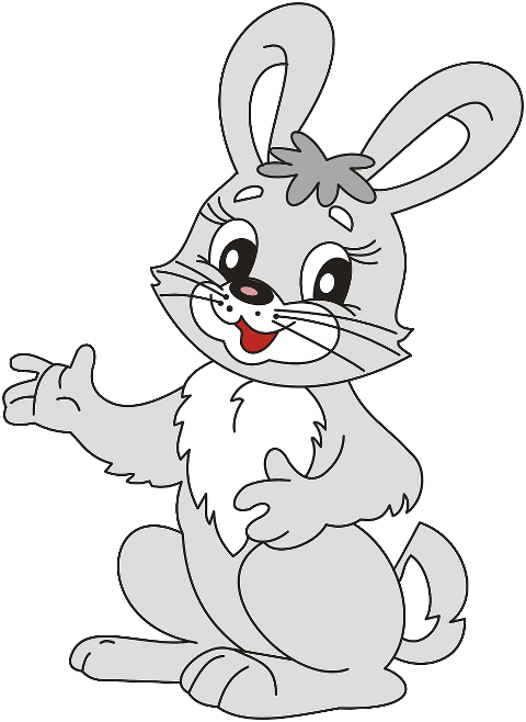 bunny-hare-rabbit-gray-grey-155674