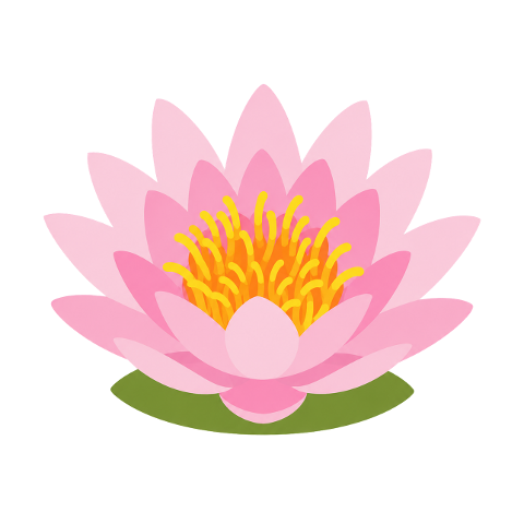 pink-flower-lotus-flower-water-lily-10377424