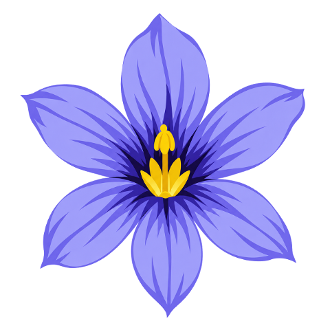 blue-eyed-grass-sisyrinchium-10480947