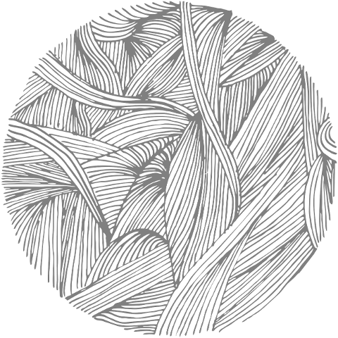 plants-line-art-leaves-drawing-6961142