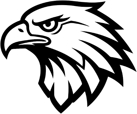 eagle-head-black-and-white-fierce-9908057