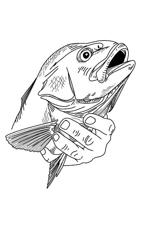 fish-drawing-line-drawing-art-10085675