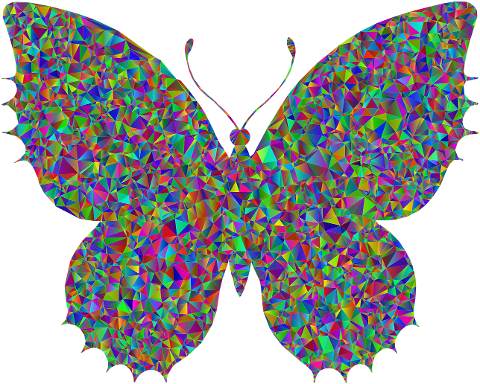 butterfly-insect-animal-low-poly-9652855