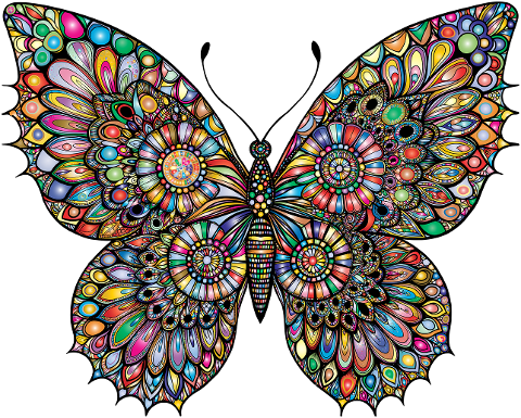 butterfly-insect-animal-flourish-9588141