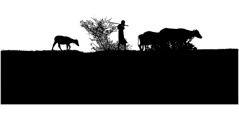 shepherd-herder-silhouette-boy-7128766