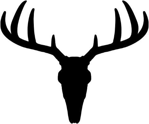 deer-head-silhouette-antlers-6051444