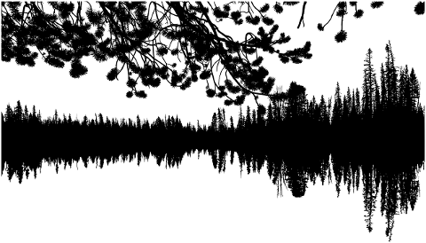 forest-trees-silhouette-lake-7148267
