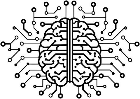 brain-mind-head-psychology-9538123