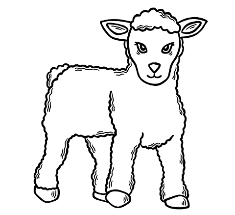 lamb-christianity-symbol-holy-week-6087202