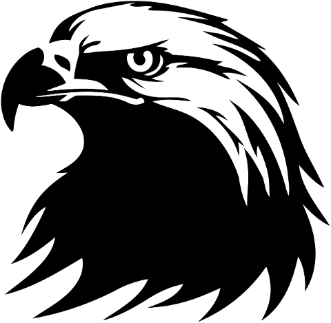 ai-generated-eagle-head-bird-8495163