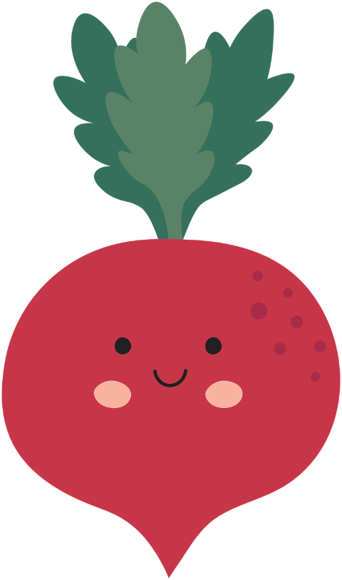 radish-vegetables-food-healthy-9601827