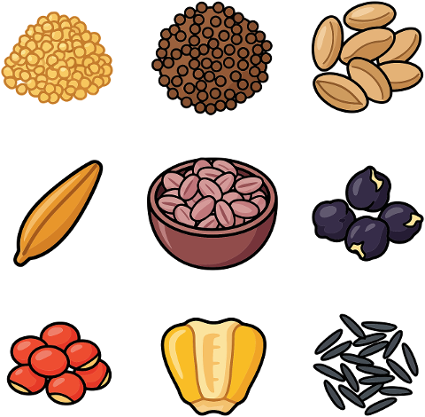 beans-lentils-seeds-legumes-grains-9901521