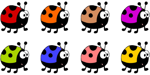 ladybugs-beetles-insects-animals-6184290