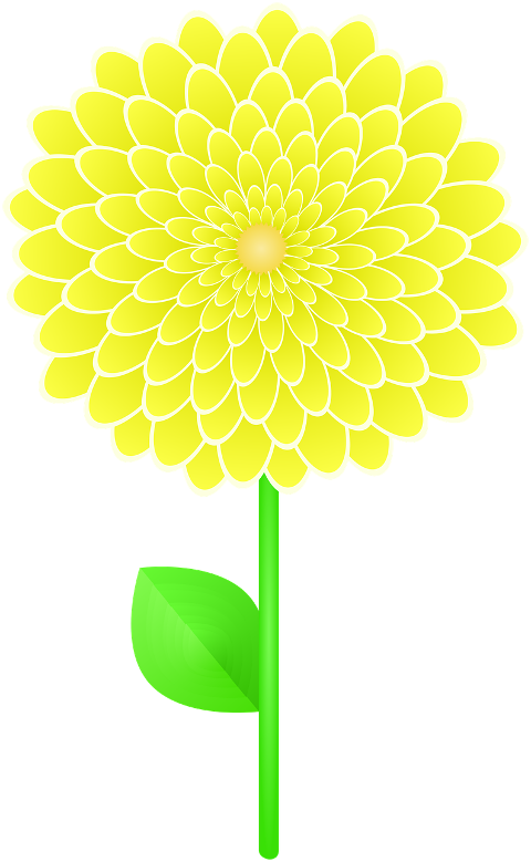 flower-camellia-yellow-flower-7282717