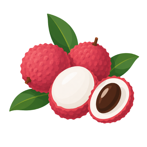 lychee-tropical-exotic-fresh-juicy-10393285