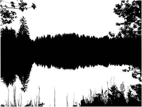 forest-lake-silhouette-trees-7361811