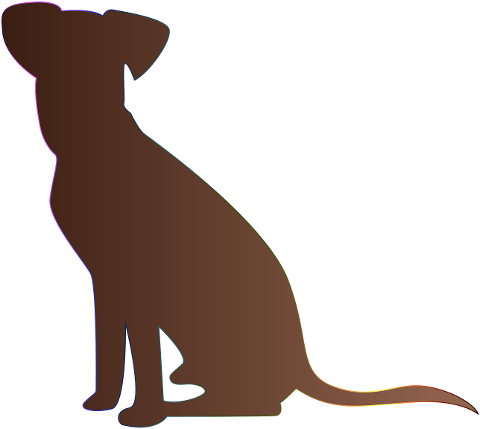 silhouette-dog-brown-dog-pet-puppy-7106066