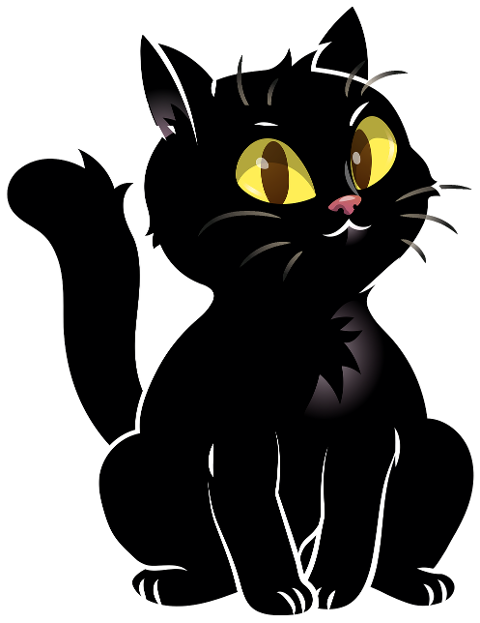 cat-pet-animal-black-cat-domestic-6994910