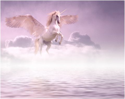 unicorn-clouds-fantasy-wings-horse-6257019