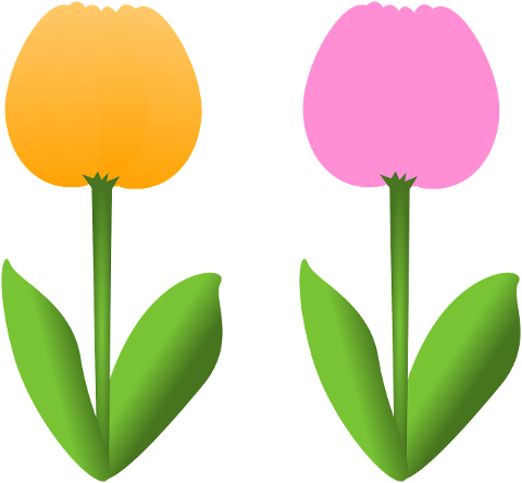 flowers-tulips-nature-decorative-7177369