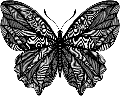ai-generated-butterfly-insect-8716045