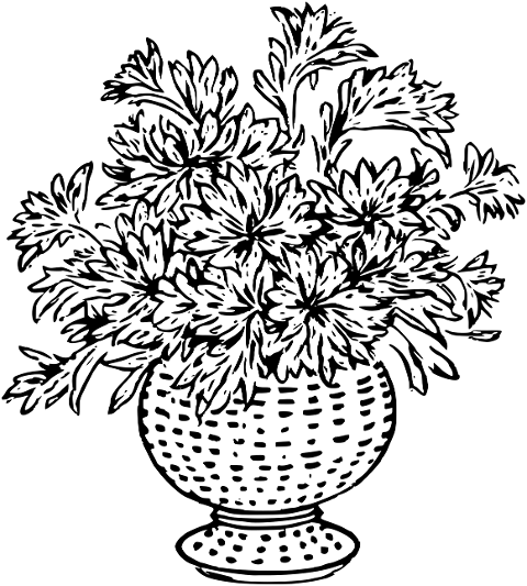 flower-nature-bloom-flora-plant-9414332