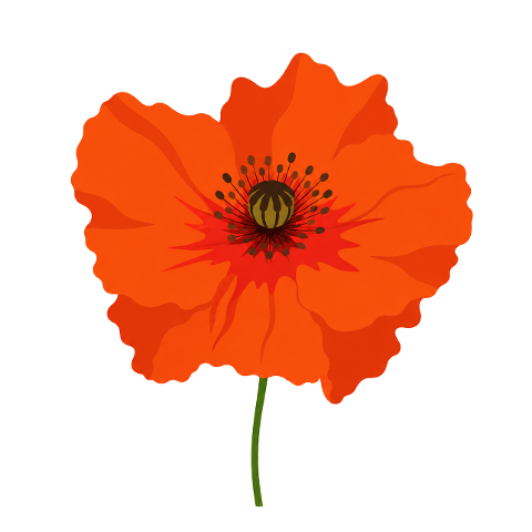 poppy-orange-red-flower-petals-10377417