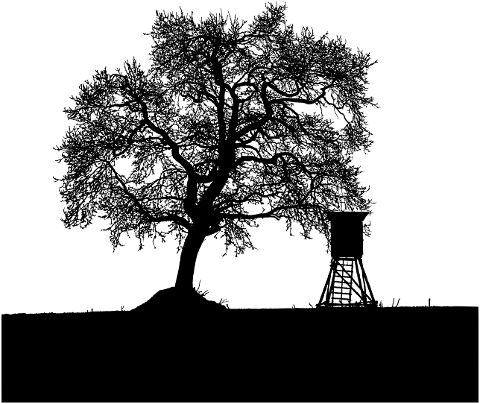 tree-high-stand-silhouette-field-6991745