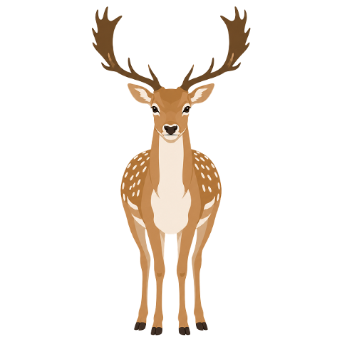 fallow-deer-antlers-forest-animal-10393561