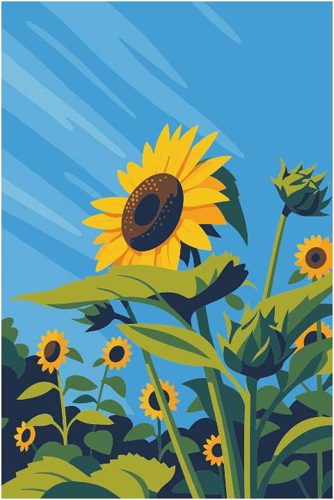 sunflower-floral-summer-natural-10245109