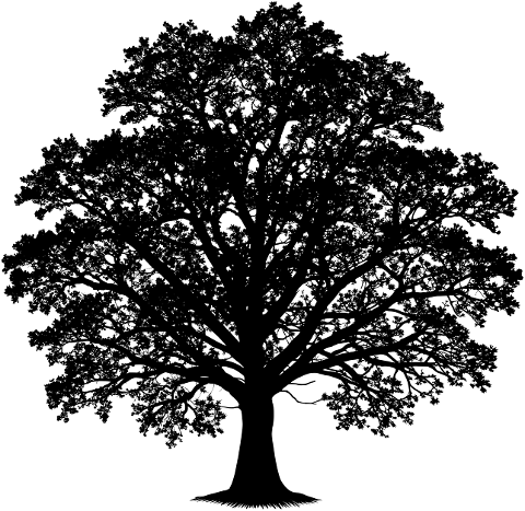 ai-generated-tree-nature-silhouette-9588156