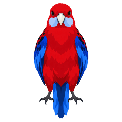 parrot-rosella-australian-bird-10476830
