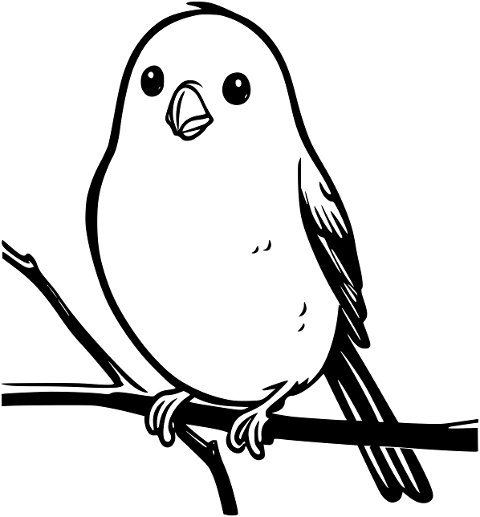 bird-line-art-cartoon-nature-8629776